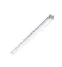 Philips LED Feuchtraumleuchte WT060C 30W 3600lm - 865 Tageslichtweiß | 120cm
